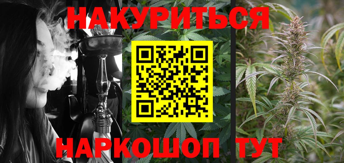 Бошки Шишки план Королёв